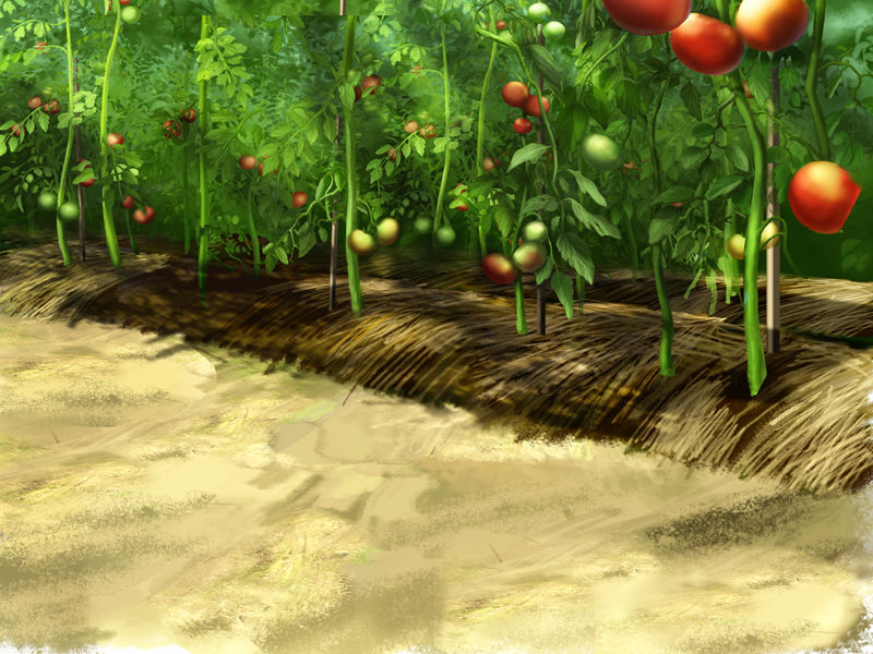 Kate_sai no Tomato Batake -Seieki Saibai- page 8 full