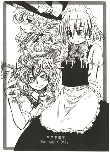 Touhou Sousei Jijou cover