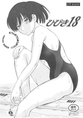 Hibiki 18 cover