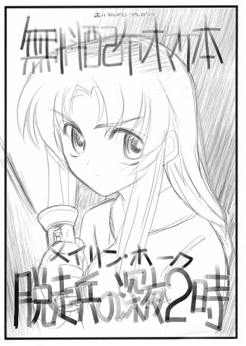 Muryoo Haifu Omake hon Meyrin Hawke Dassoo Hei no Shinya 2-ji cover
