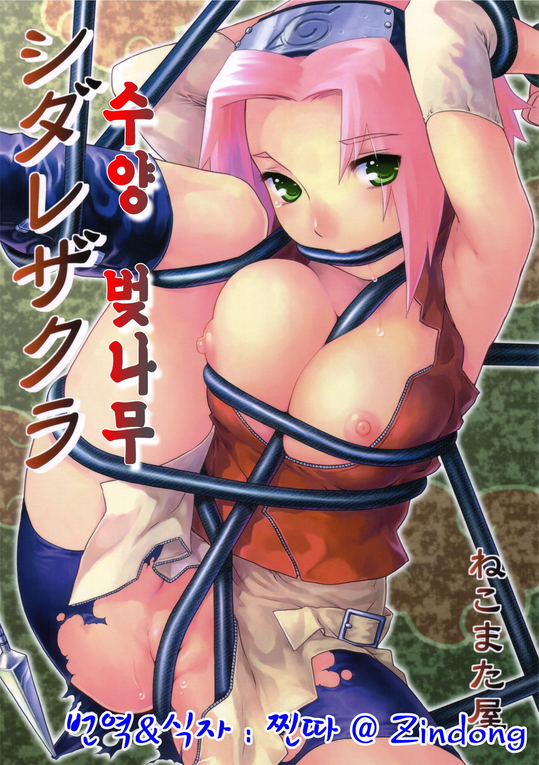 Shidare Zakura / 수양 벚나무 page 1 full