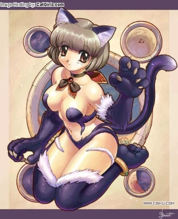 Assorted Ecchi Collection #044 cover