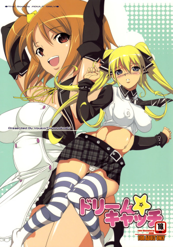 Dream Catch cover