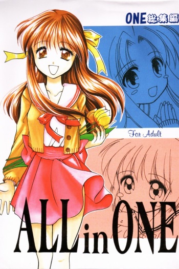 ALL in ONE cover