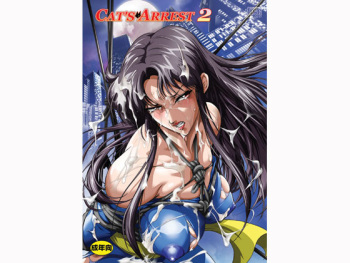 Cat's Arrest 2 cover