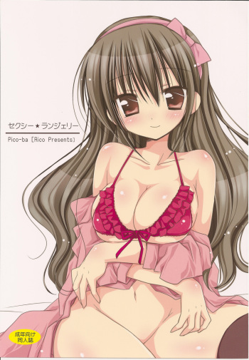 Sexy Lingerie cover