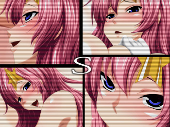 S cover