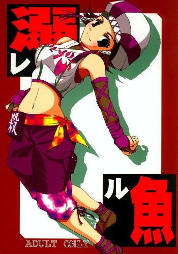 sangokumusou cover