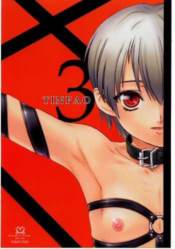 TINPAO 3 cover