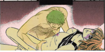 Zoro x Nami cover