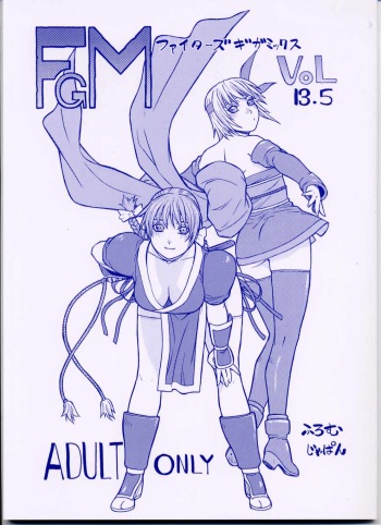 FIGHTERS GIGAMIX FGM Vol.13.5 cover