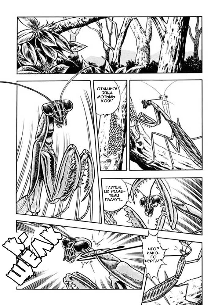 Fairie Fetish Chapter 3 page 3 full