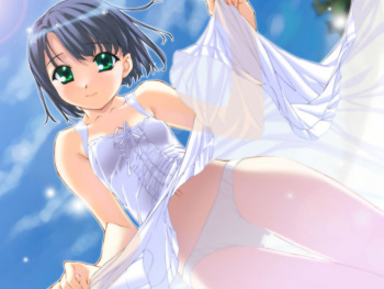 Love Hina Collections Shinobu cover