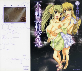 Fujun Isei Kouyuu 3 cover