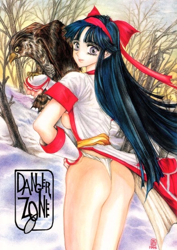 DANGER ZONE 6.0 cover