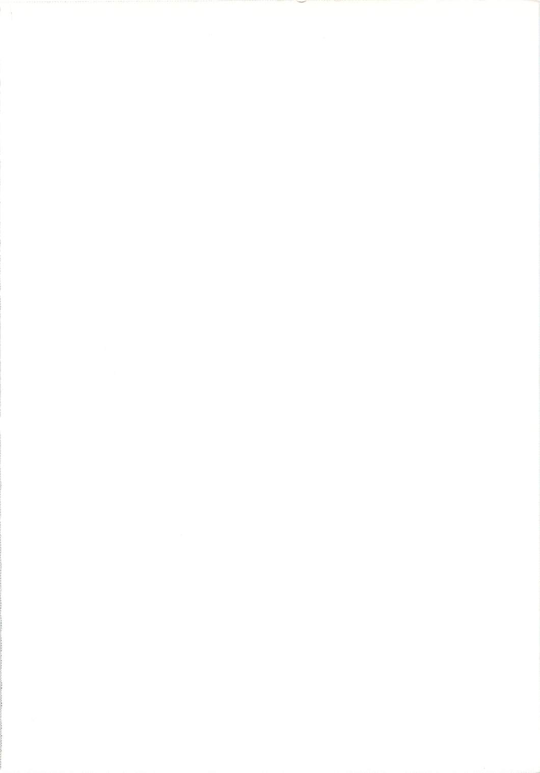 Seisen no keifu 3 page 2 full