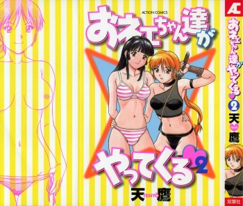 Oneechantachi ga Yatte Kuru 2 cover