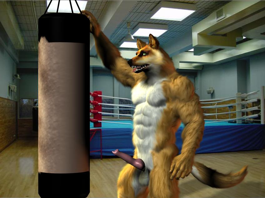 my furry collection part 8 page 9 full