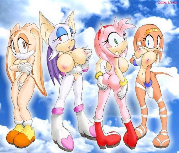 Sonic Generals page 1 full