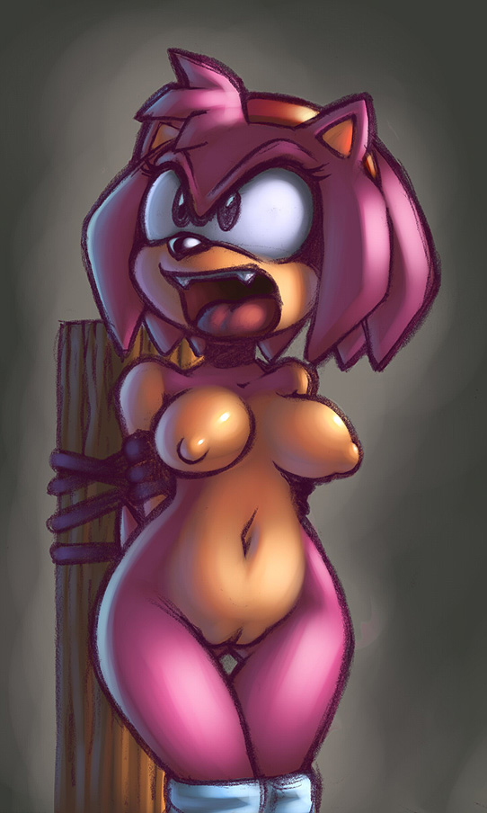 Sonic Generals page 8 full