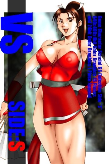 VS Side S cover