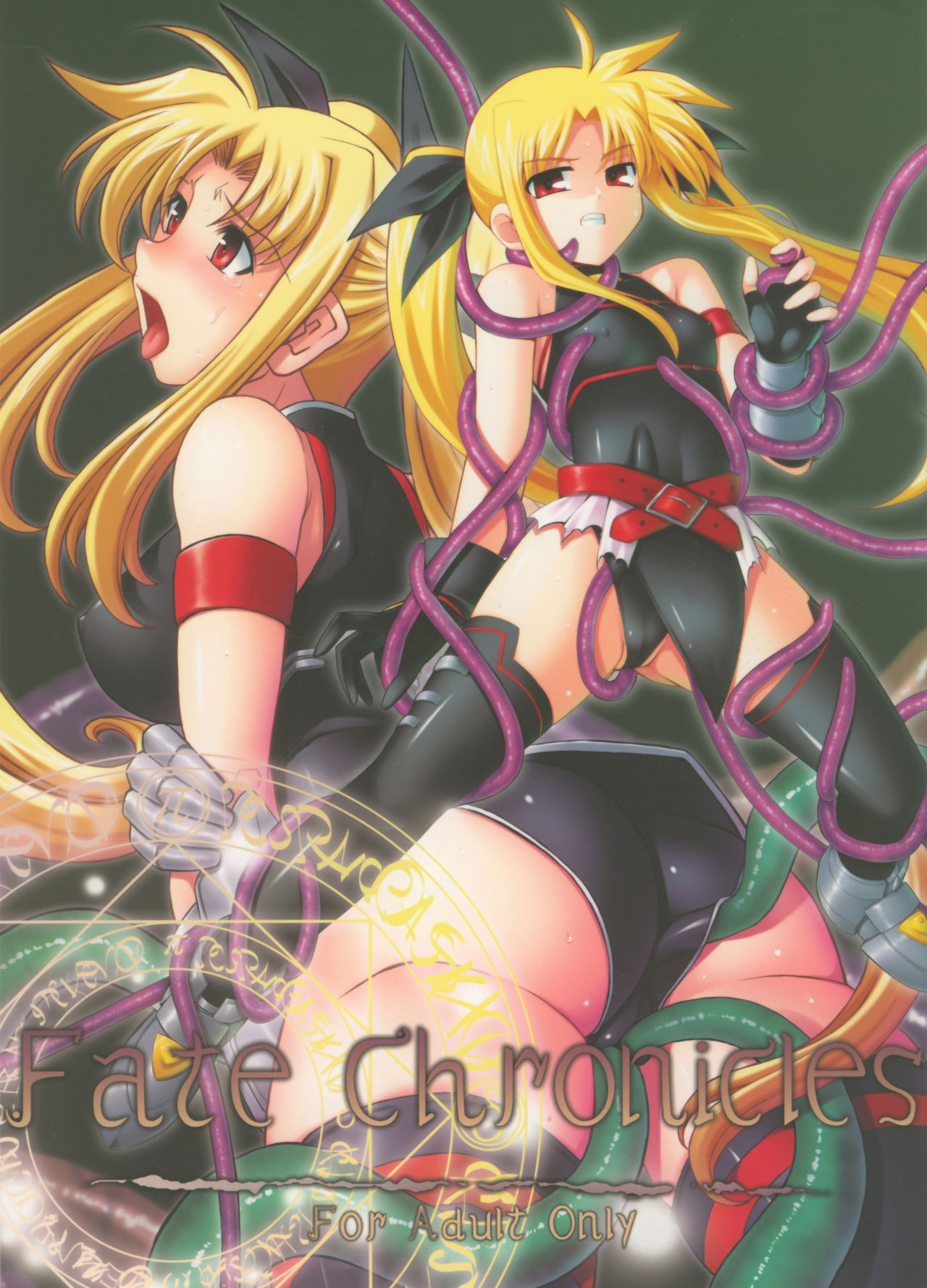 Fate Chronicles page 1 full