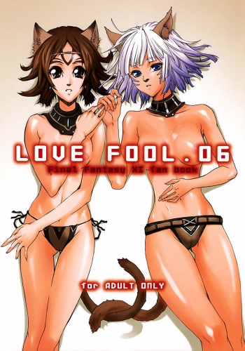 LOVE FOOL . 06 cover