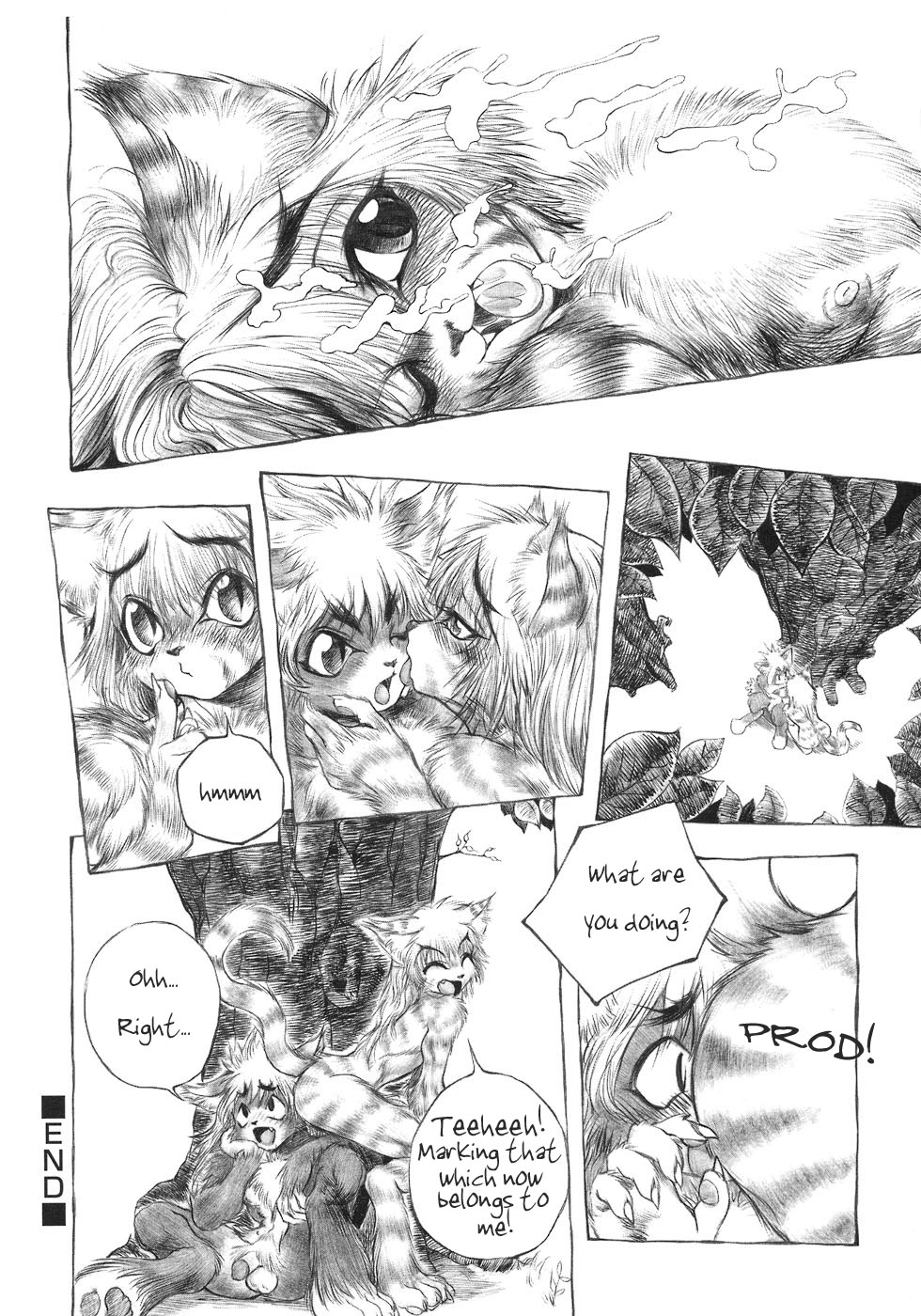 Sanft page 8 full