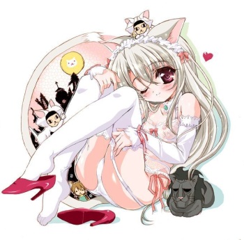 Animalistic vol.6 cover