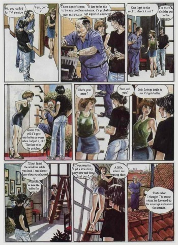 The Plumber cover