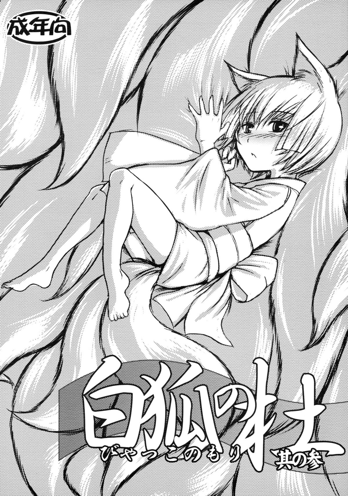 Byakko no Mori Sono San page 1 full