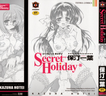 Secret Holiday cover