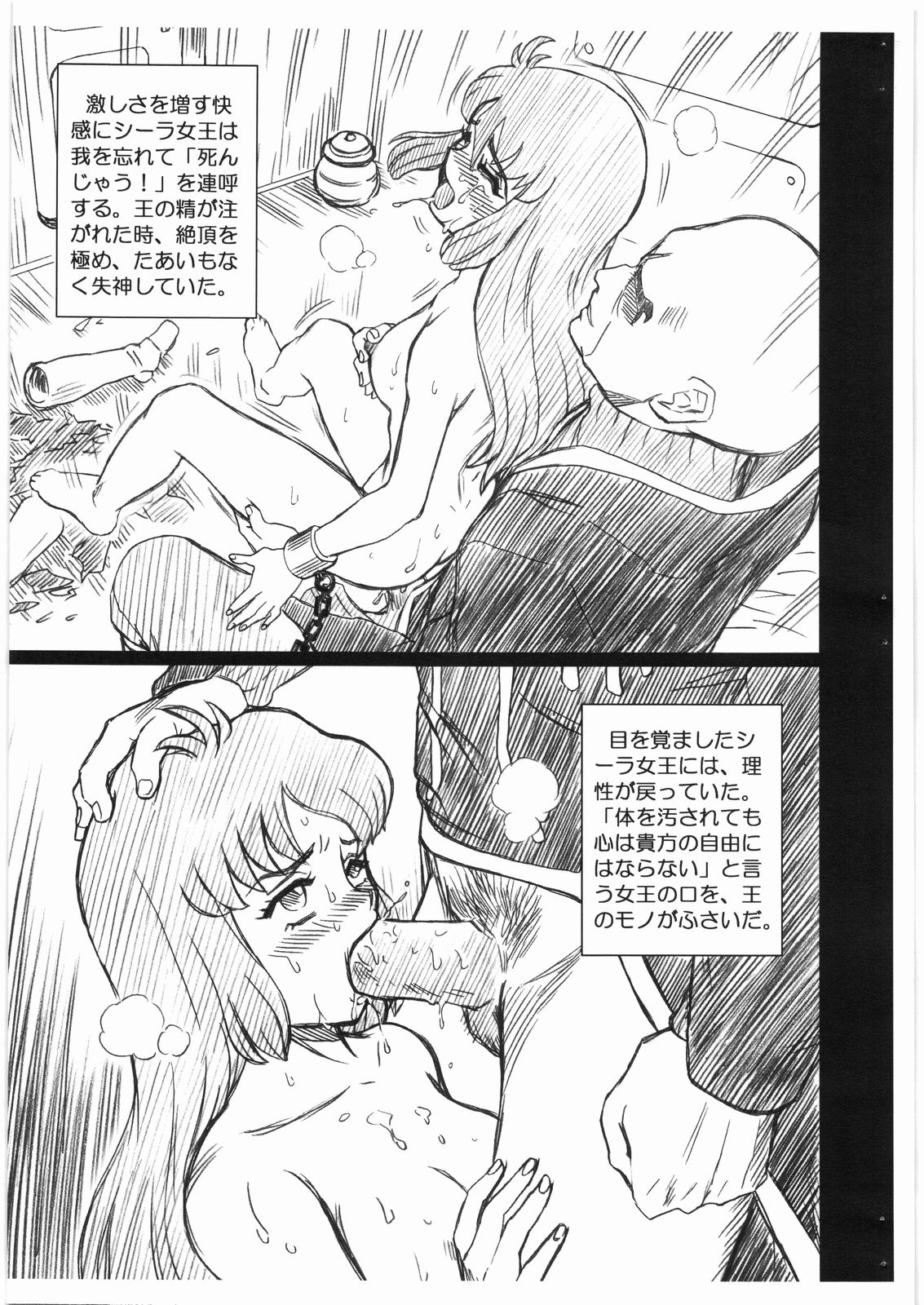 DUNBINE FILE Ciela Lapana Gazou shuu page 5 full