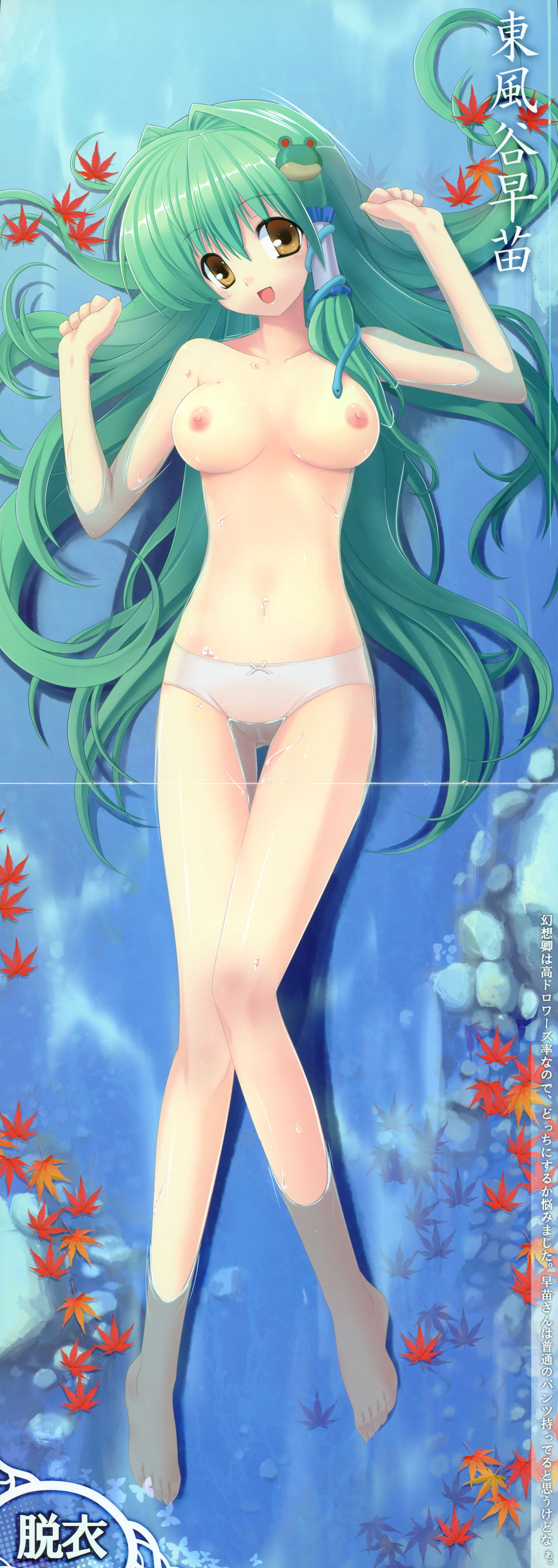 Touhou Nouryoubon page 9 full