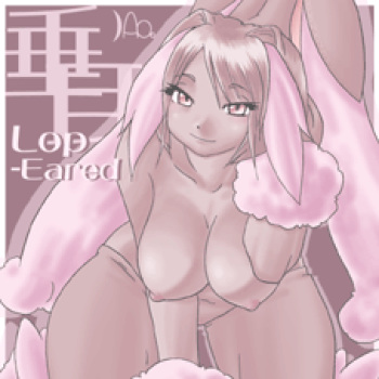 lopunny cover