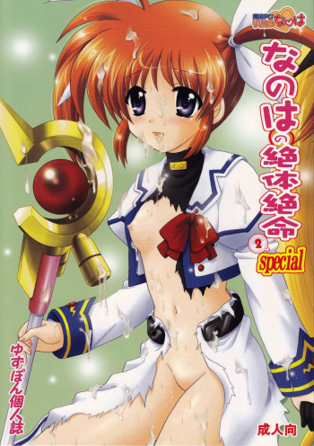 Nanoha no Zettai Zetsumei Special 2 cover