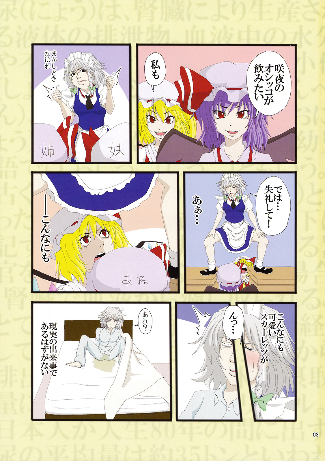 完全で瀟洒な尿者 page 3 full