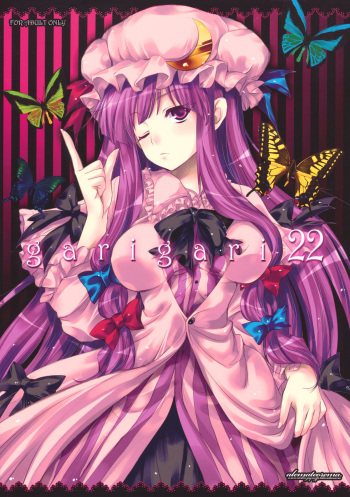 GARIGARI 22 cover