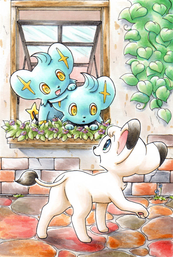 pokemon - 07 page 9 full
