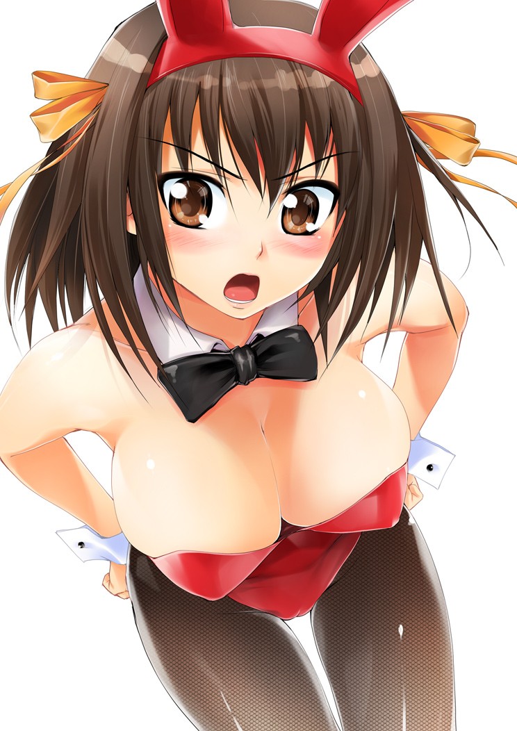バニー詰め合わせ page 3 full