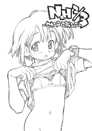 N.H 2／3 sekandoedeishon cover