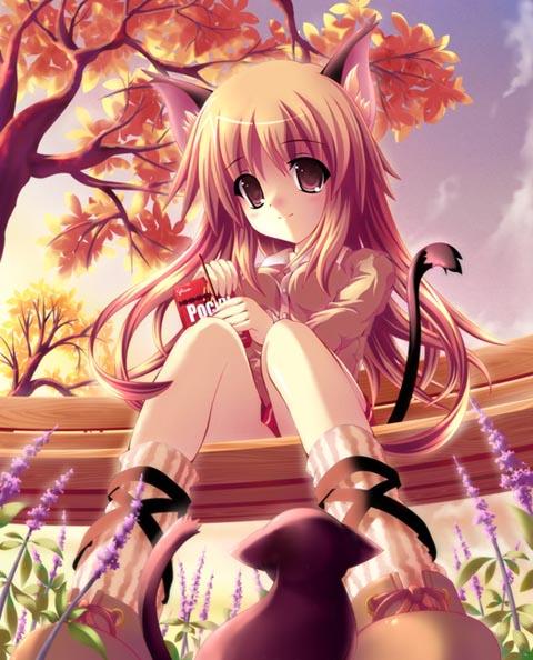 catgirls and others kemonomimi pics page 2 full