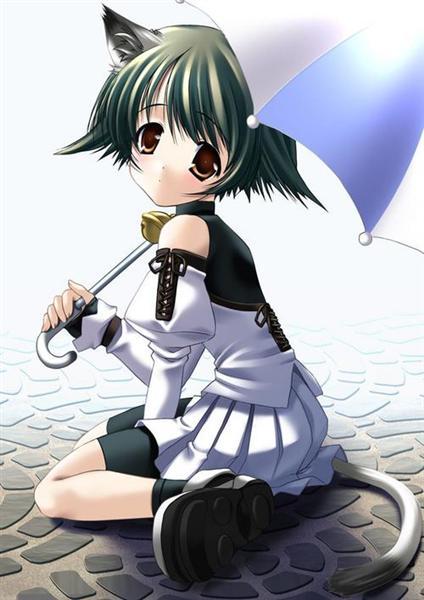 catgirls and others kemonomimi pics page 3 full