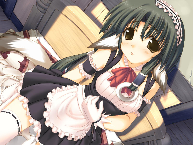 catgirls and others kemonomimi pics page 9 full