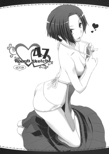 Rough Sketch 47 cover