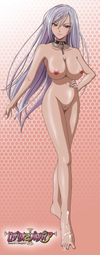 Rosario + Vampire Gallery cover