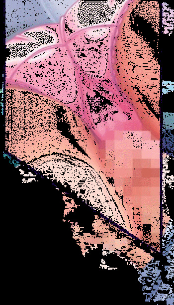 my gif... cover