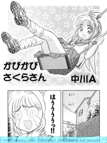 Kapi Kapi Sakura-san cover