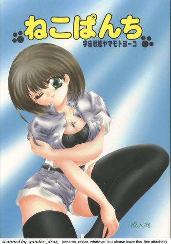 Neko Punch cover