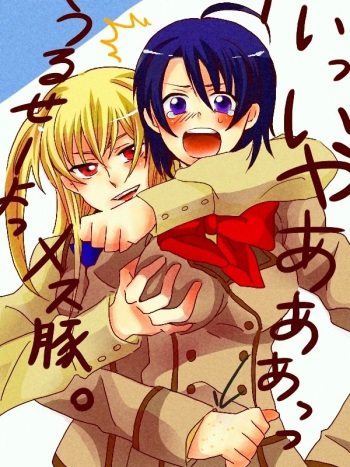Lvhina's Maria+holic Collection cover